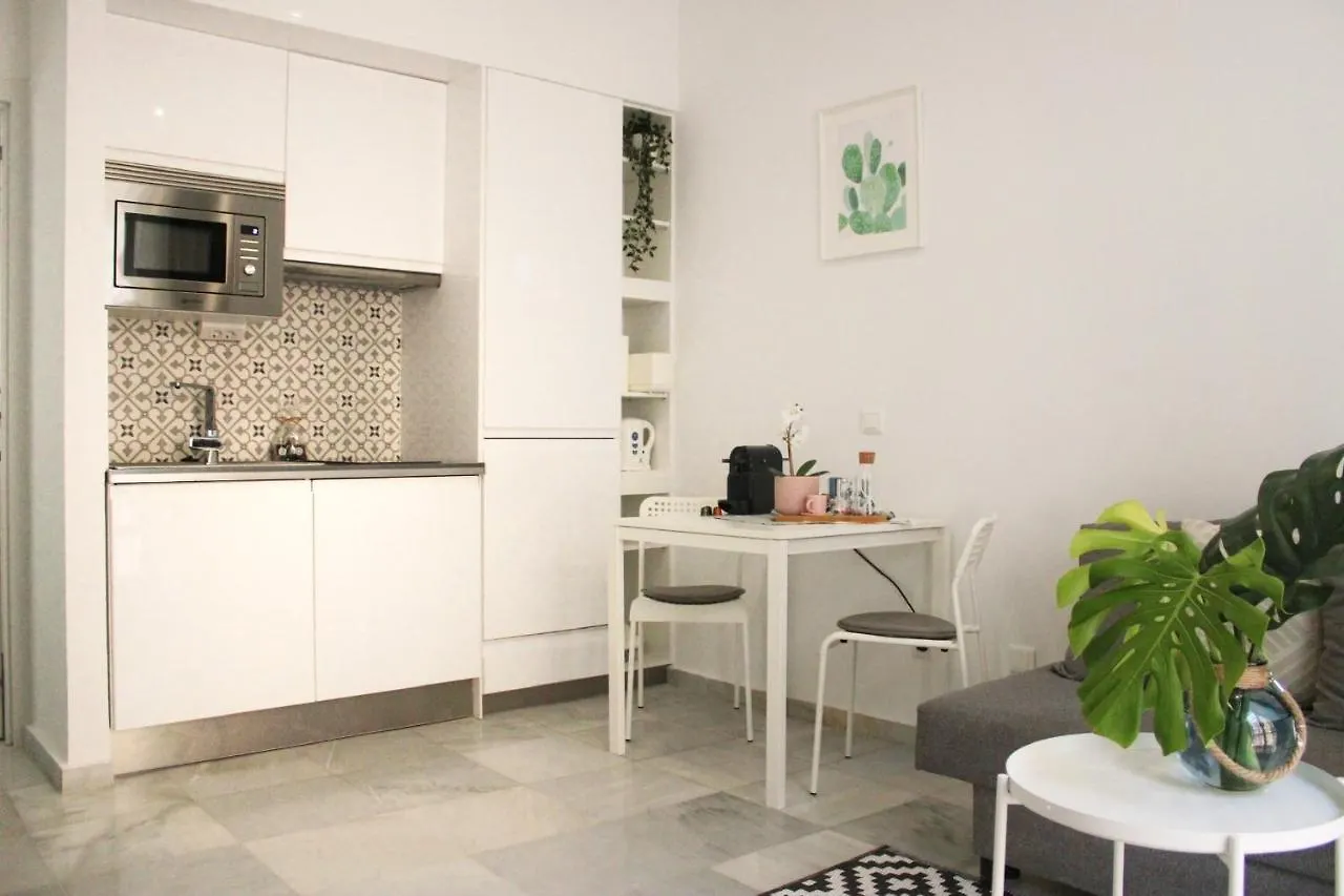 شقة Malaga Centric Best Location And Comfort In Malaga Center
